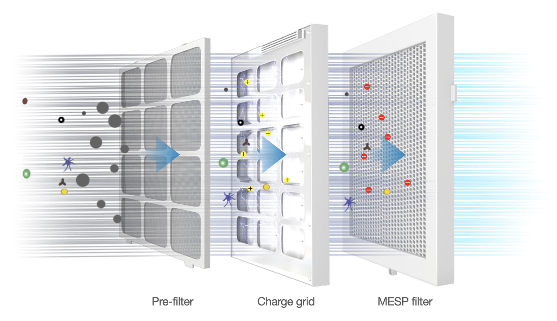 mesp-structure